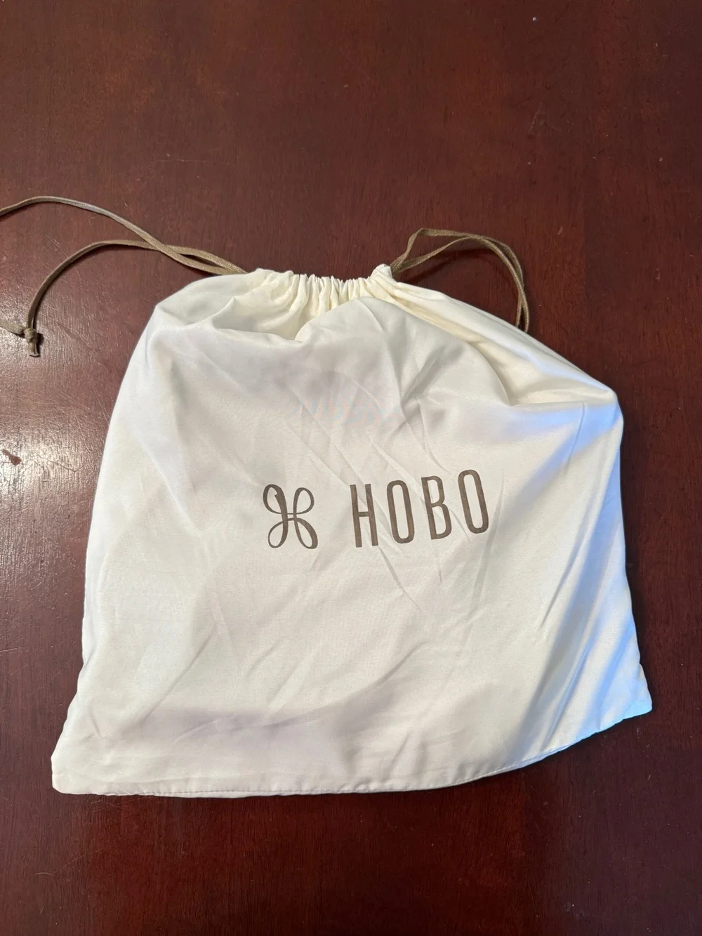 HOBO Metallic Beige Leather Hobo Bag